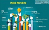 Find Responsible Digital Marketing Company in Noida