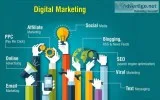 Find Responsible Digital Marketing Company in Noida