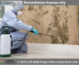 Mold Remediation Service in Kansas City