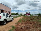 Value Good investment Plots For Sale in Trichy.