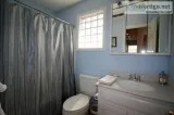 Well Furnished family house