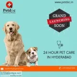 Best dogs training in hyderabad