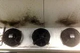 Commercial Coolroom Cleaning