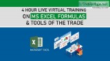 4 Hour Live Virtual Training on MS Excel Formulas and Tools of t