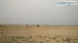 Residential Property Site for Sale at Dholera (Gorasu)