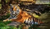 Ratnagiri Tour Package