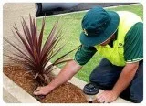 Get Great Lawn Mowing Services Perth