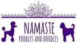Namaste Poodles and Doodles