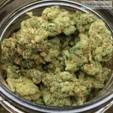 BUY SKY WALKER OG ONLINE