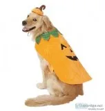Pumpkin Dog and Cat Costume