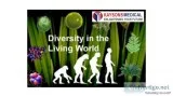 Living world questions for NEET