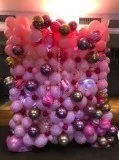 Buy Organic Balloon in Gold Coast