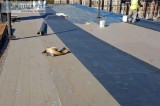 Know about The Roofers MA