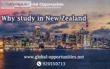 Why Study in New Zealand