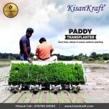 Paddy Transplanter  Agriculture equipment