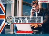 Tier 1 Investor Visa UK has sufficient investment choices