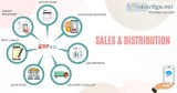 Sales and Distribution Software Service at Affordable Cost