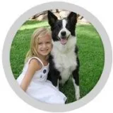 Hidden Dog Fencing in Wichita KS