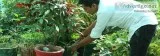 7 Best Career Options for BSc. Agriculture students