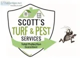 Local Termite Control Near Me