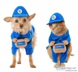 Chewy Box Delivery Driver Dog and Cat Walking Costume