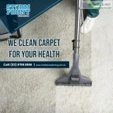 Can&rsquot clean the carpet by yourself Looking for the best car