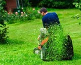 Reliable and Cost-Effective Lawn Mowing Services in Melbourne