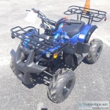 Youth ATV4 Wheeler