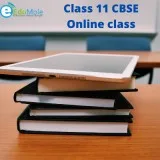 Class 11 CBSE Online class