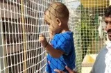 Balcony safety nets in Hyderabad