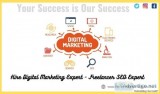 Hire Digital Marketing Expert - Freelancer SEO Expert