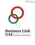 Best pro services in uae | business link uae