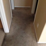 Professional Carpet Cleaning Service In Yucaipa