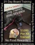 We have a  puppy training program deal