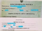 NYC CERTIFIED TRANSLATION SERVICES (26 Different Languages)
