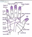 Astrology Consultation Rs.1500