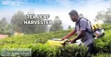Tea Leaf harvester  Agriculture Tools