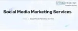 top seo company in jaipur