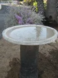 Bird Bath Concrete-Steel