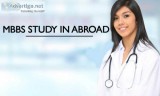 Direct admission to Study MD  MBBS in Belarus