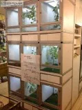 Store fixtures for sale