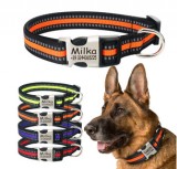 Shop for Customised Collar for Dogs ShoppySanta