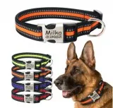 Shop for Customised Collar for Dogs ShoppySanta