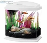 Aqueon LED MiniBow Aquarium Starter Kit with LED Lighting