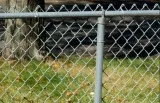 Don&rsquot Compromise With The Quality Of Your Fence Contact SK 