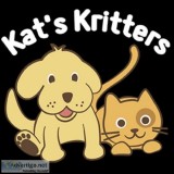 Professional Pet Sitting Brisbane Northside