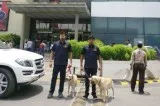 Sniffer Dogs in Mumbai  Marshallsecurity.in
