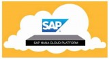 Peol Technologies - Efficient Company Providing SAP Hana Service