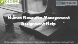 Searching for Human Resource Management assignment help online a