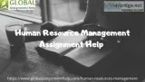 Searching for Human Resource Management assignment help online a